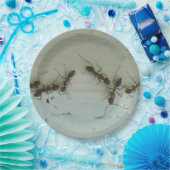 紙プレート – アンツアットピクニック ペーパープレート (パーティー)