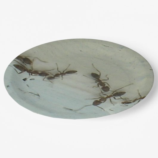 紙プレート – アンツアットピクニック ペーパープレート (アングル)