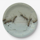 紙プレート – アンツアットピクニック ペーパープレート (正面)