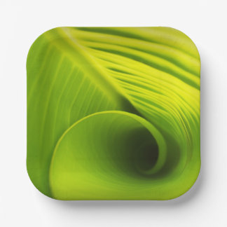 紙プレート."エコエレガンスフレンドリー：リーフデザインディ ペーパープレート