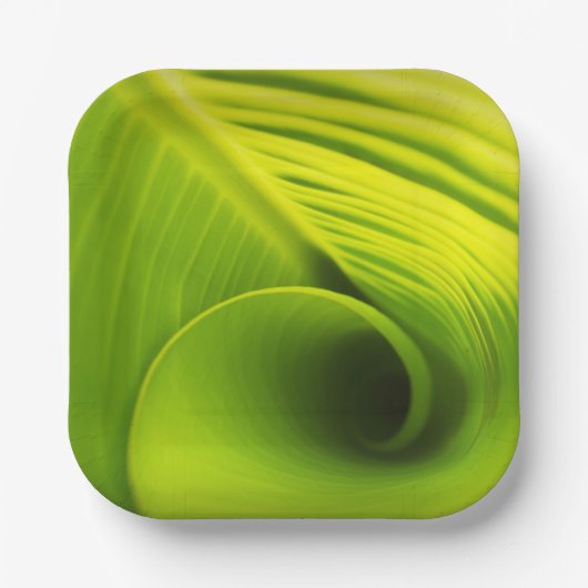 紙プレート."エコエレガンスフレンドリー：リーフデザインディ ペーパープレート (正面)