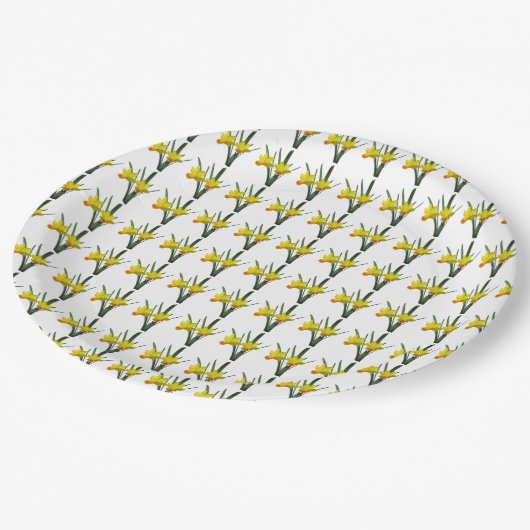 紙プレート – ダッフォディルスの分野 ペーパープレート (アングル)