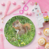 紙プレート"テーマで、美しい赤リス" ペーパープレート (パーティー)