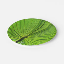 紙プレート – トロピカルパーム