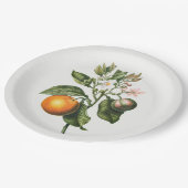 紙プレート：ビターオレンジの花 ペーパープレート (アングル)