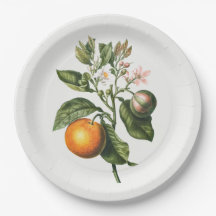 紙プレート：ビターオレンジの花