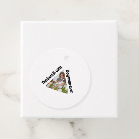 紙プレート フェイバータグ (インサイチュ)