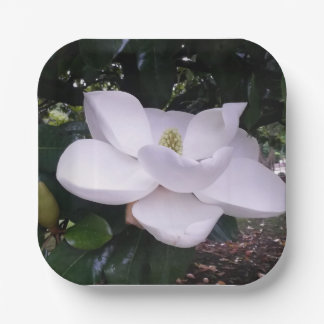 紙プレート ペーパープレート