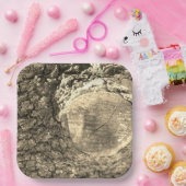 紙プレート ペーパープレート (パーティー)