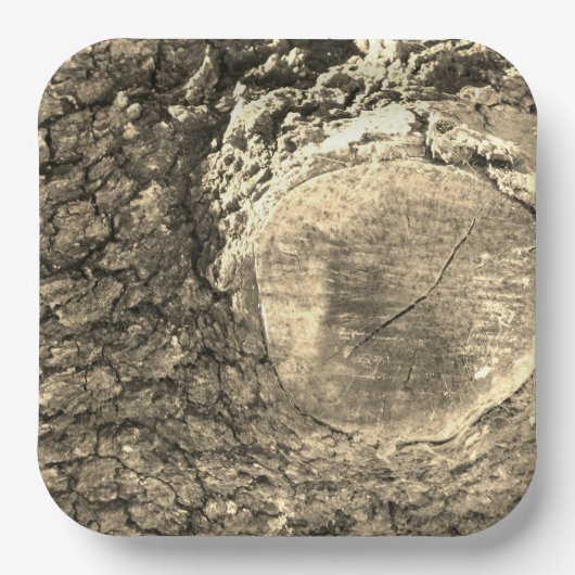 紙プレート ペーパープレート (正面)