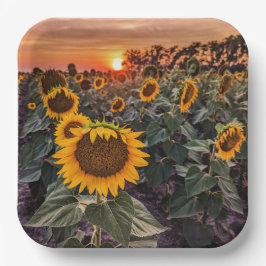 紙プレート ペーパープレート