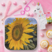 紙プレート ペーパープレート (パーティー)