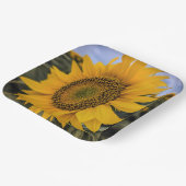 紙プレート ペーパープレート (傾斜あり)