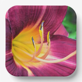 紙プレート ペーパープレート