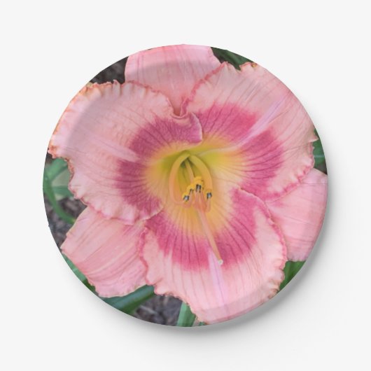 紙プレート ペーパープレート (正面)