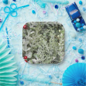 紙プレート ペーパープレート (パーティー)