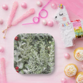 紙プレート ペーパープレート (パーティー)