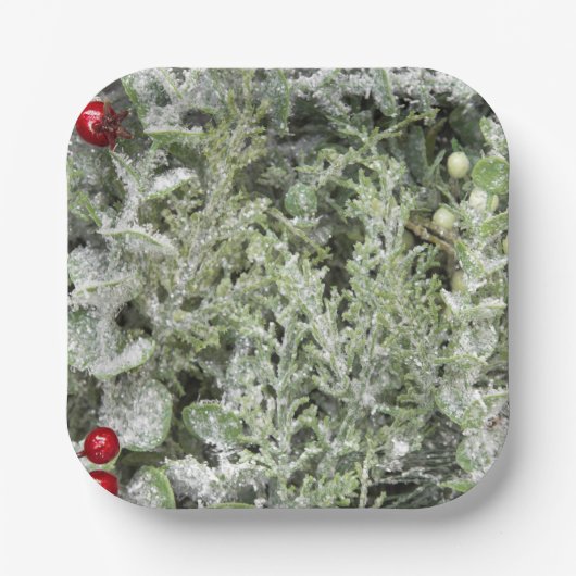 紙プレート ペーパープレート (正面)