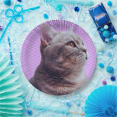 紙プレート ペーパープレート (パーティー)