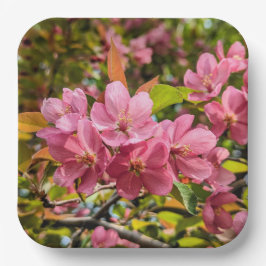 紙プレート ペーパープレート