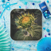 紙プレート ペーパープレート (パーティー)