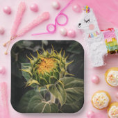 紙プレート ペーパープレート (パーティー)