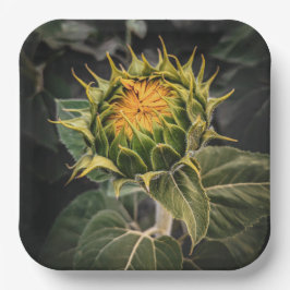 紙プレート ペーパープレート