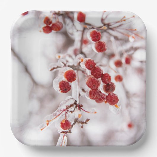 紙プレート ペーパープレート (正面)