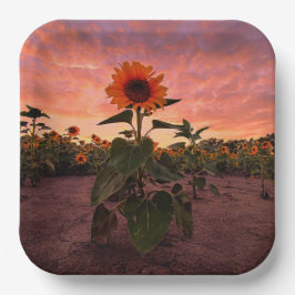 紙プレート ペーパープレート