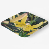 紙プレート ペーパープレート (傾斜あり)