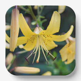 紙プレート ペーパープレート