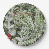 紙プレート ペーパープレート (正面)