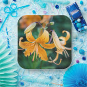 紙プレート ペーパープレート (パーティー)