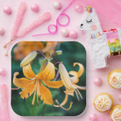 紙プレート ペーパープレート (パーティー)