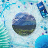 紙プレート ペーパープレート (パーティー)