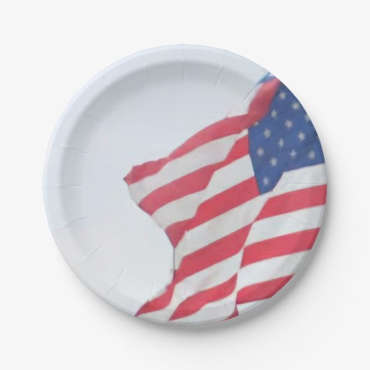 紙プレート ペーパープレート (正面)