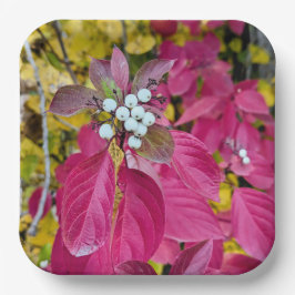 紙プレート ペーパープレート