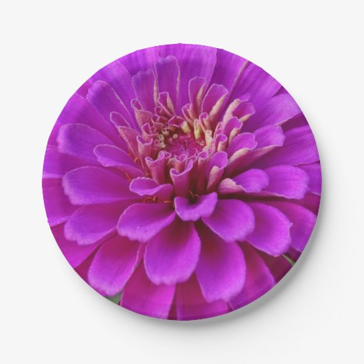 紙プレート ペーパープレート (正面)