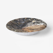 紙プレート ペーパーボウル (傾斜あり)