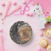 紙プレート ペーパーボウル (パーティー)