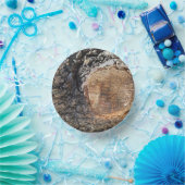 紙プレート ペーパーボウル (パーティー)