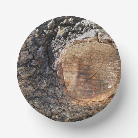 紙プレート ペーパーボウル (正面)