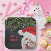 紙プレート、メリーHissmas ペーパープレート (パーティー)