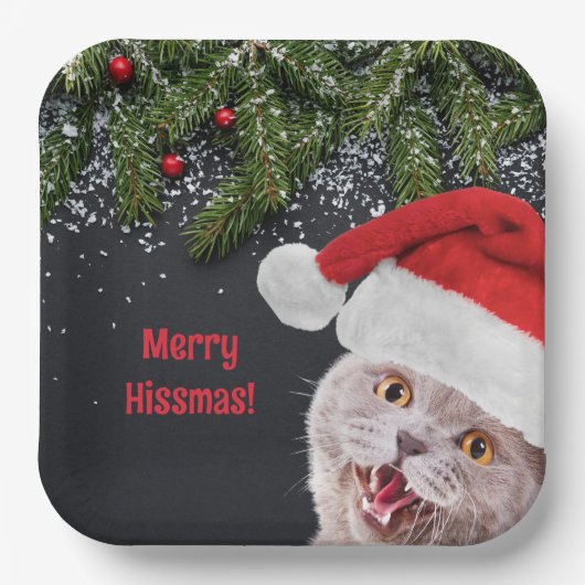紙プレート、メリーHissmas ペーパープレート (正面)
