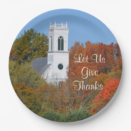 紙与え感謝していプレート ペーパープレート (正面)