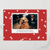 紙吹雪ドットスクリプトフルフォト 箔シーズンカード (裏面)