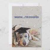 紙吹雪祝い大学院犬Capカード付き サンキューカード (正面)