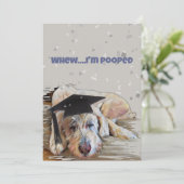 紙吹雪祝い大学院犬Capカード付き サンキューカード (スタンド正面)