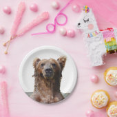 紙皿灰色グマとの7" ペーパープレート (パーティー)