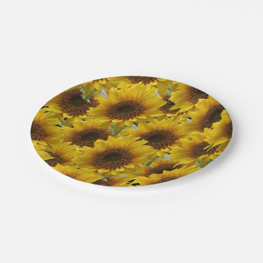 紙皿 ひまわり (アングル)